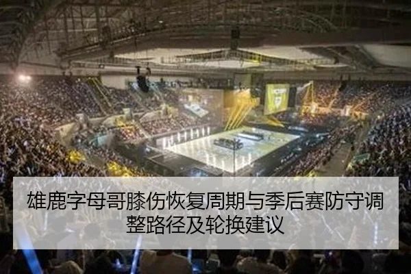 xiong-lu-zi-mu-ge-xi-shang-hui-fu-zhou-qi-yu-ji-hou-sai-fang-shou-tiao-zheng-lu-jing-ji-lun-huan-jian-yi-2-841.jpg